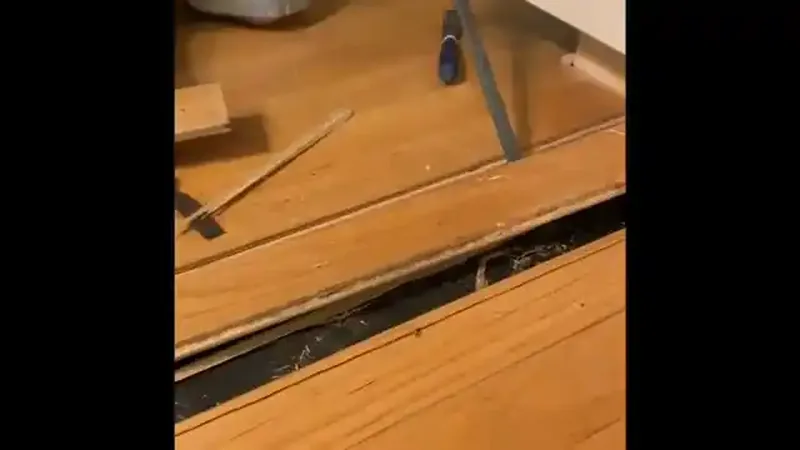 Hardwood floor water damage repair Fairfax VA
