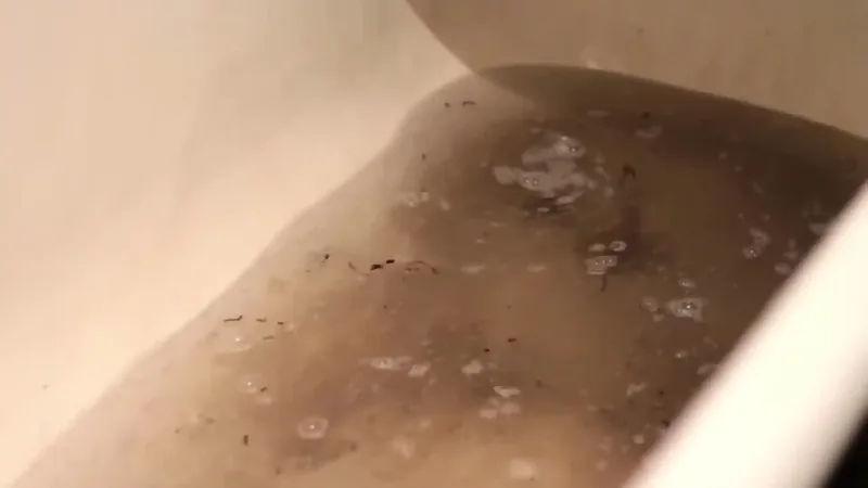 Sewage backup cleanup Fairfax VA