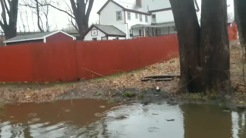 Storm and flash flood cleanup Fairfax VA