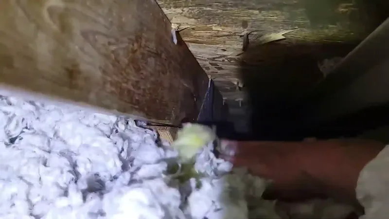 Attic mold removal in a Fairfax VA home – certified mold remediation