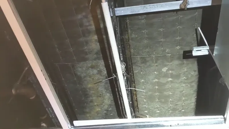 Commercial mold remediation for businesses in Fairfax VA