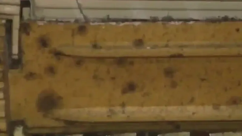 Hidden mold detection and infrared inspection Fairfax VA