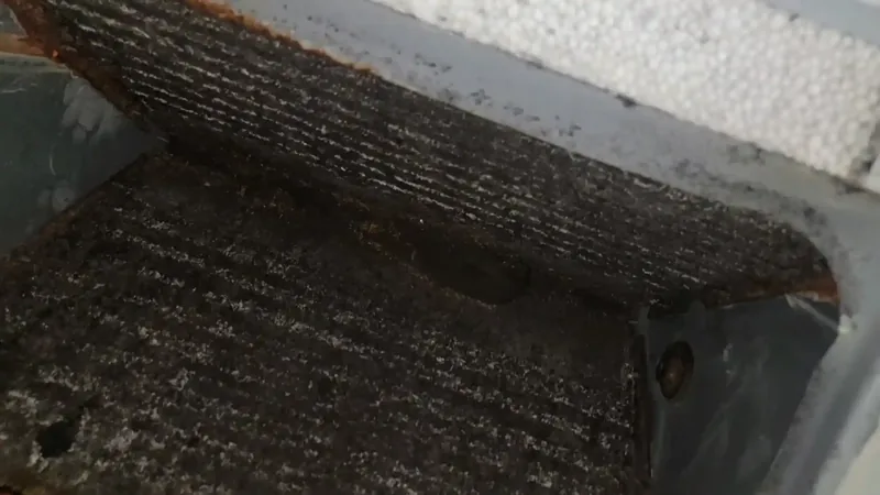 HVAC and air duct mold remediation Fairfax VA